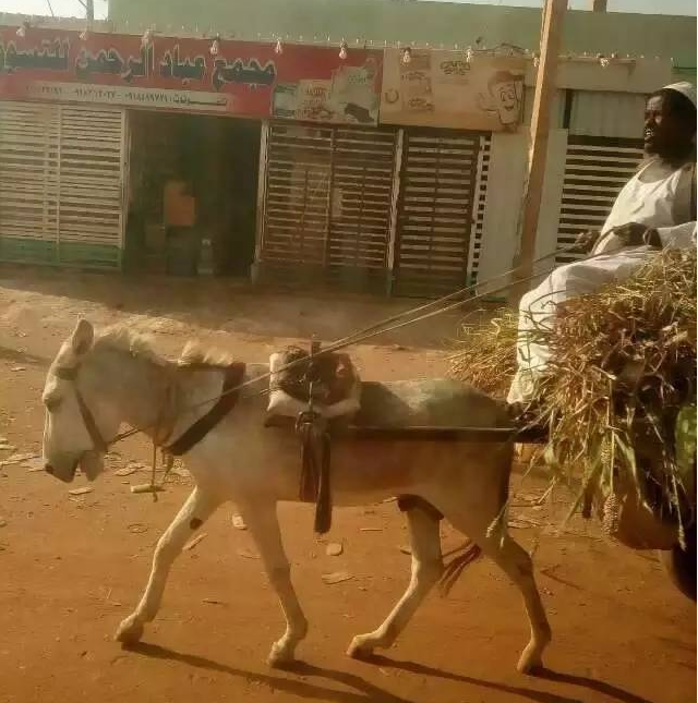 1481164372203984.png 圖片.png